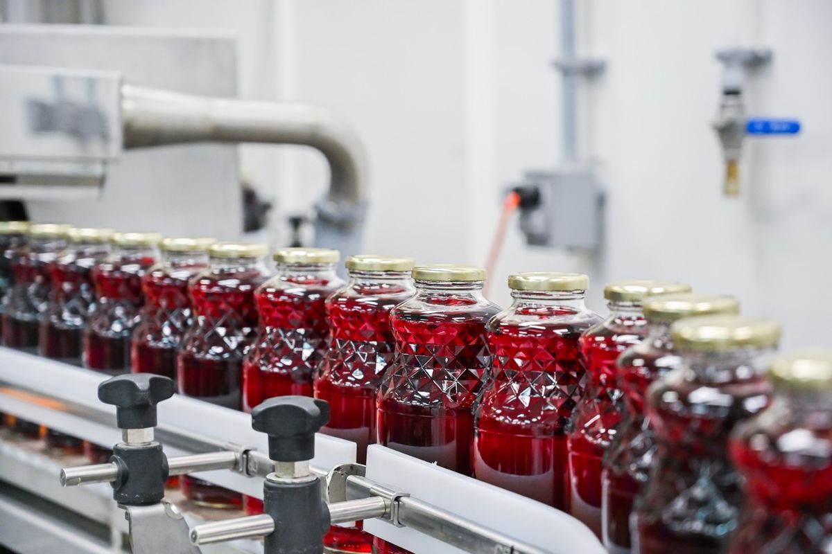 Ligne d’embouteillage&nbsp;: bouteilles de verre au bouchon doré, remplies d’une boisson rouge, sur un convoyeur.